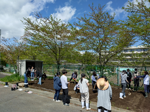 デイケア利用者さんと分担して畝作り