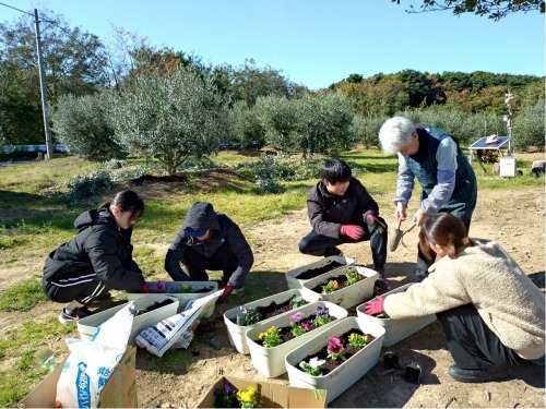 石巻市網地島の網小医院さんでお花を植えました（山口政人ゼミ）