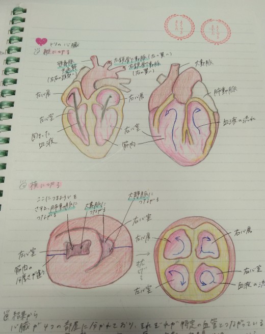学生の実験ノート
