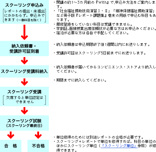 スクーリングの流れ