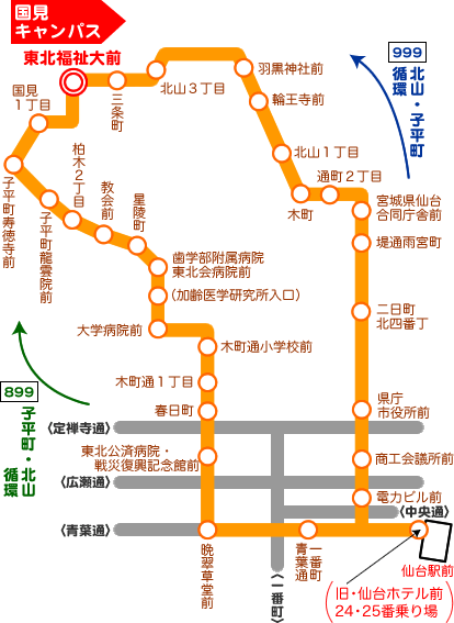 バス路線図