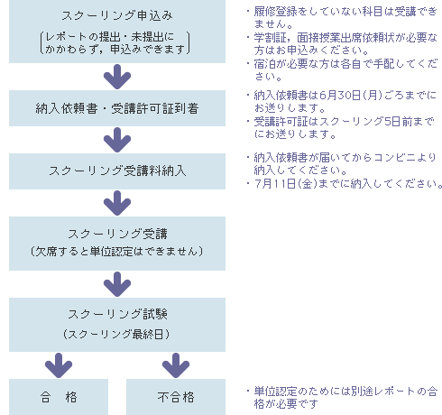 手順