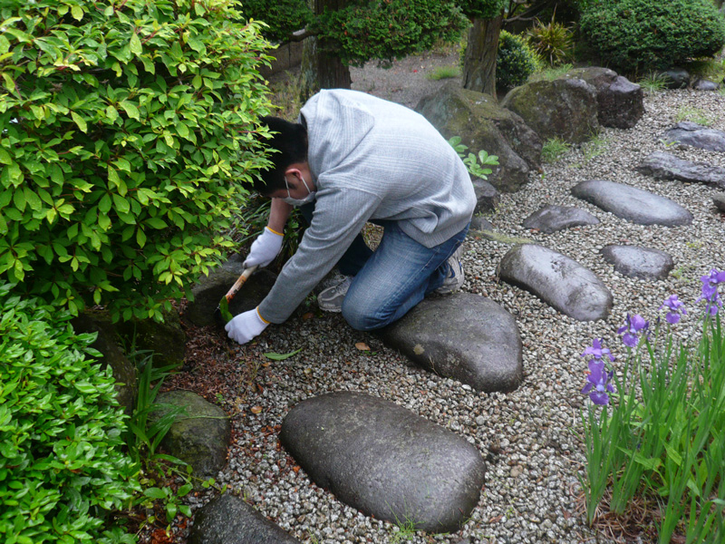 ６月：私邸草むしり