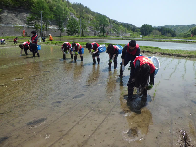 七ヶ宿町田植え（５月）