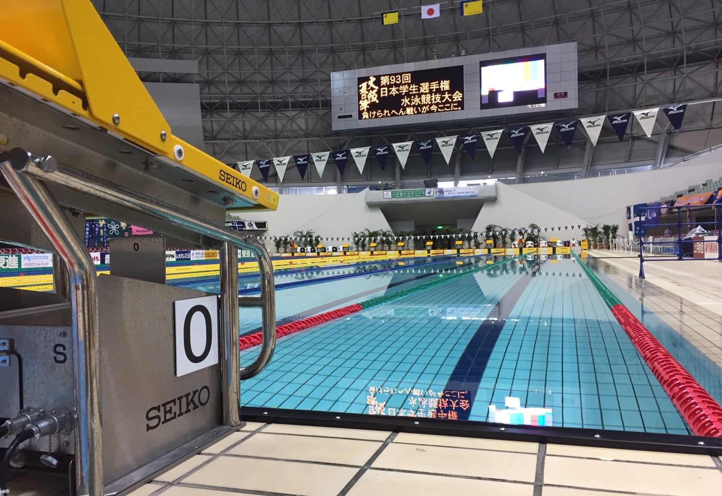 水泳部 東北福祉大学