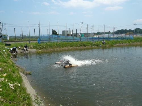 野池その1