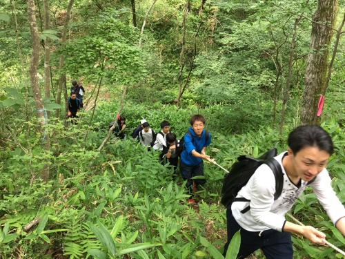 険しい登りの散策路はロープが頼り