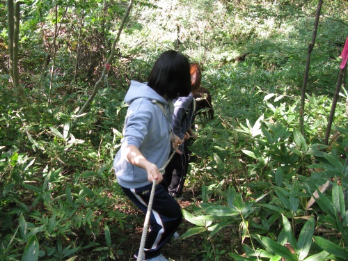 自然散策路でのひとコマ。ロープで斜面を下ります。