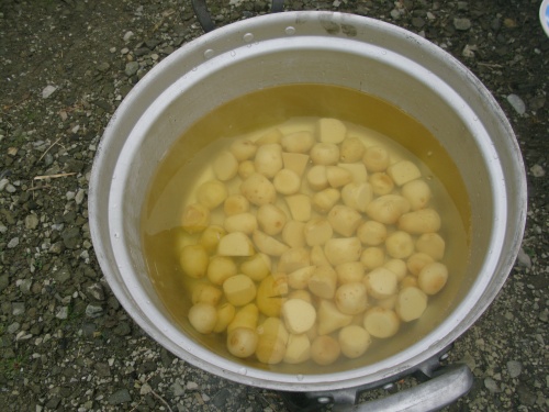 Cグループ山形風芋煮（醤油味）　これからです