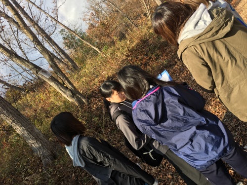 同じ名前の野鳥が何度も出てきて・・・