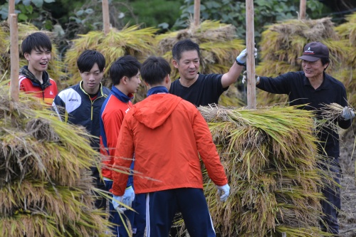 50人の力でも1/4の面積(0.5反)しか刈り取れませんでした