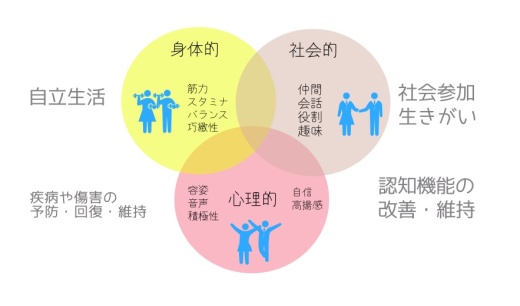 運動の効果は多面的