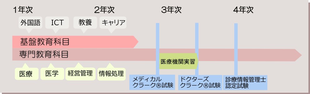 4年間のイメージ