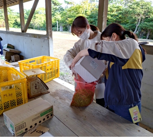 選別が終わったら計量します