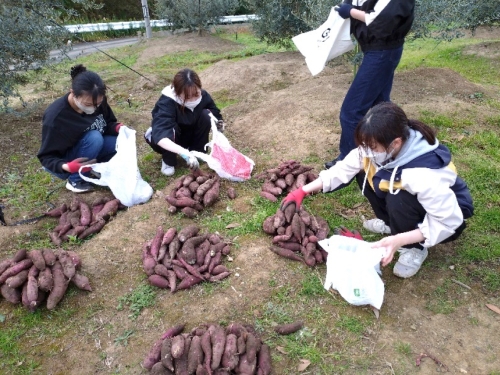 がんばったご褒美