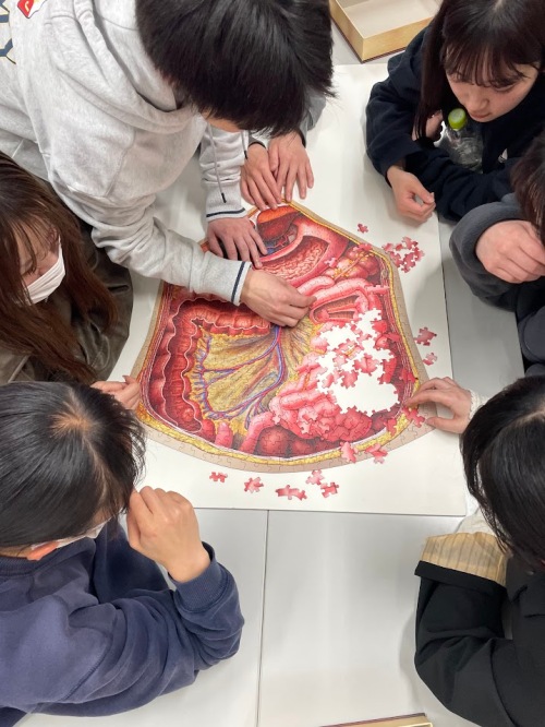 解剖学をパズルで学ぶ