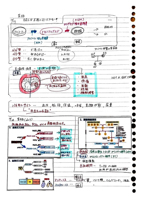 学生のノート