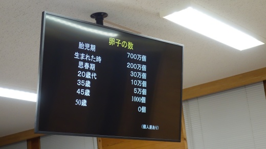胎児期から減り続ける卵子の数