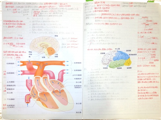 医療経営管理学科の科目紹介