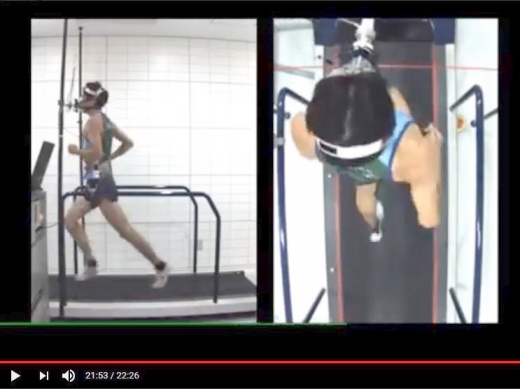 何のために腕をふる。実験室で実際に走っている動画