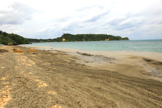 普段は白い砂浜が、小笠原から漂流してきた大量の軽石で埋め尽くされている