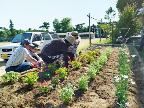 花植えの様子（島の楽校にて）