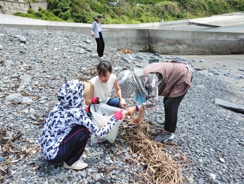根組浜での清掃活動の様子