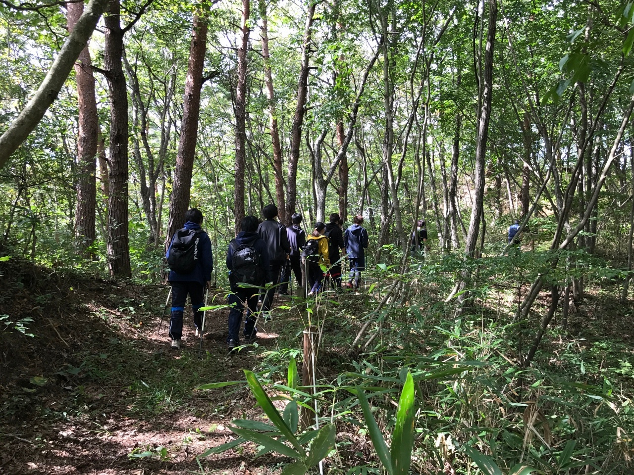 朴木山の自然の中を歩きます