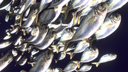 図 BlenderのBoid機能を用いて制作した魚の群れ