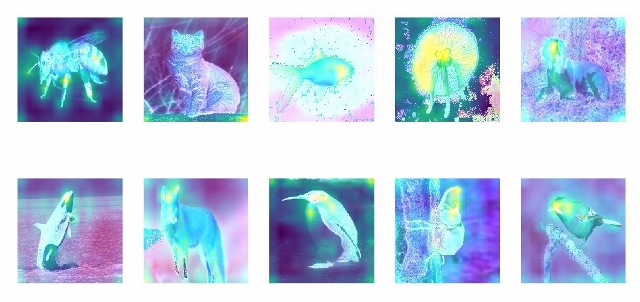 Grad-Camの処理を実施した結果