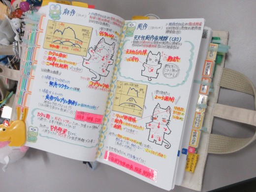 覚えやすいようにイラストも描き込んだ参考書