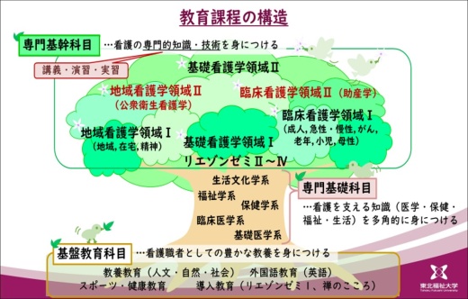 保健看護学科の教育課程：大きな樹木のイメージ