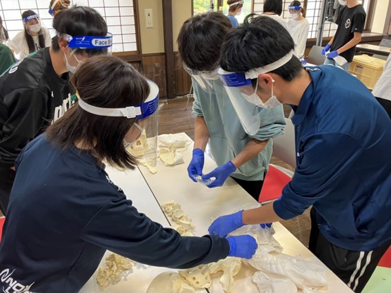 解剖学実習』の授業が始まりました ｜東北福祉大学