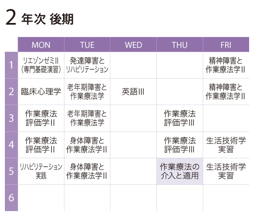 作業療法の介入と適用