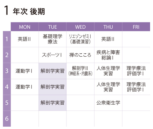 解剖学実習