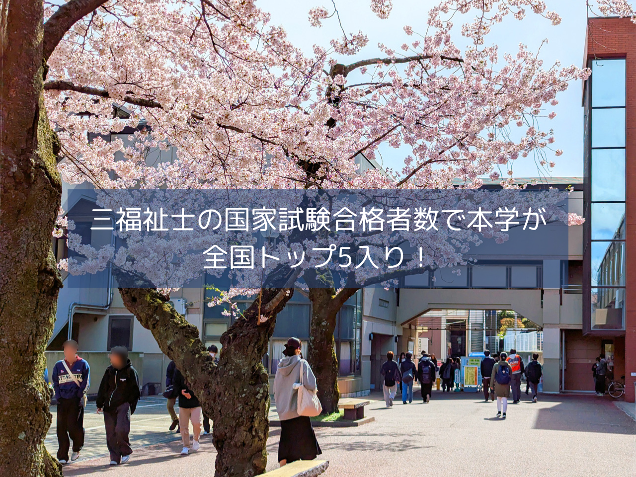 三福祉士の国家試験合格者数で本学が全国トップ5入り！