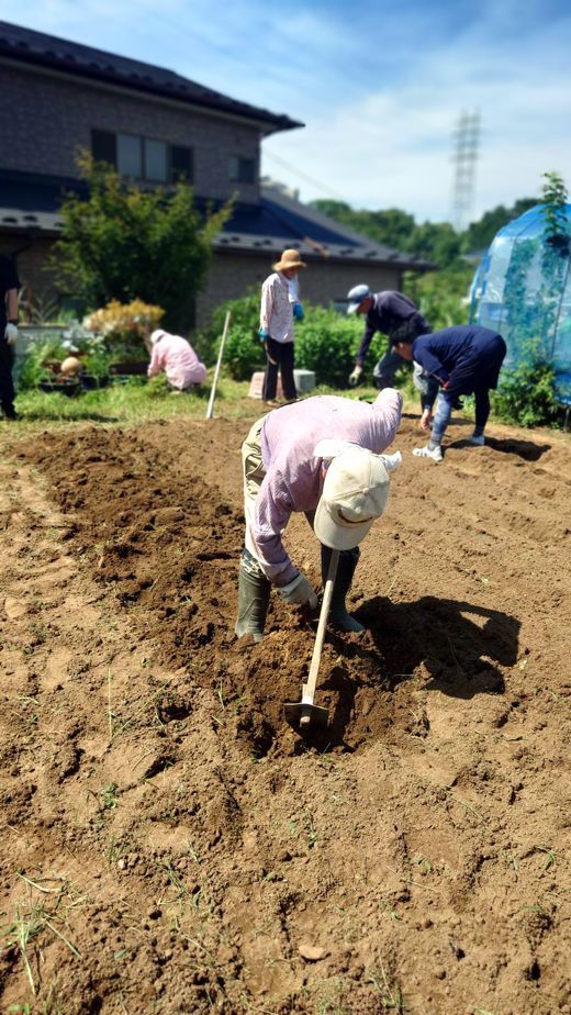 畑プロジェクトの方の円熟した作業