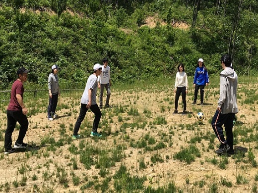 ボール遊びも面白そうだ！