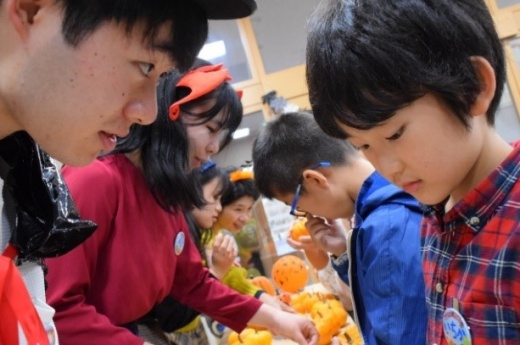 Which pumpkin do you want? 
