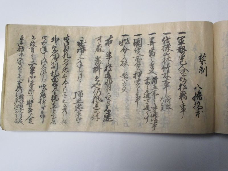 【教育学科】鍛代教授、織田信長文書を新発見！