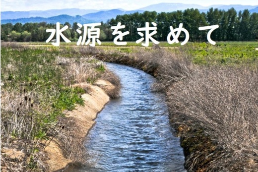 入選した教材