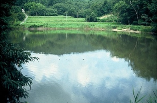 西根地区にある溜池