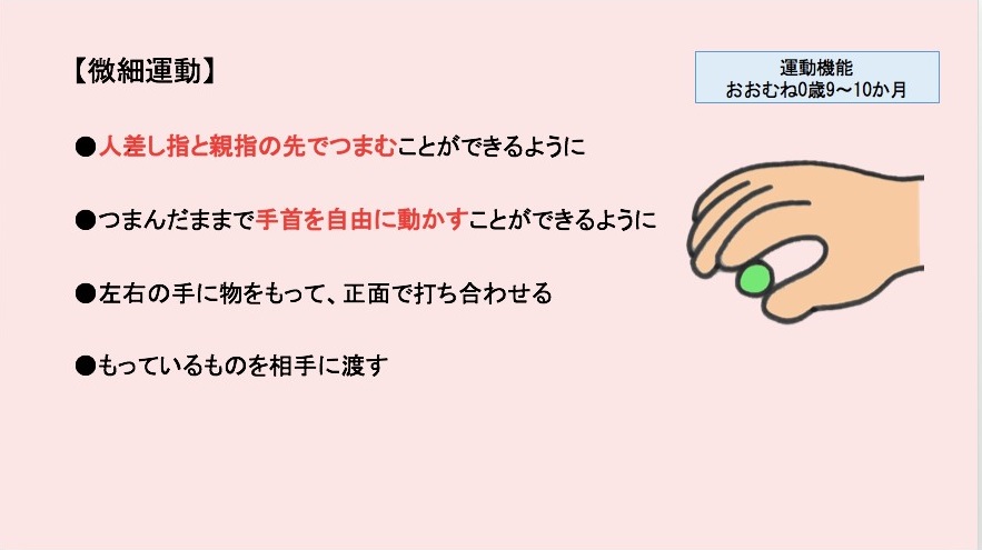 講義で使用された資料　おおむね０歳9〜10か月の微細運動について