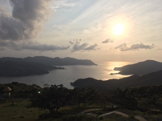 奄美の海と夕焼けは絶景でした！