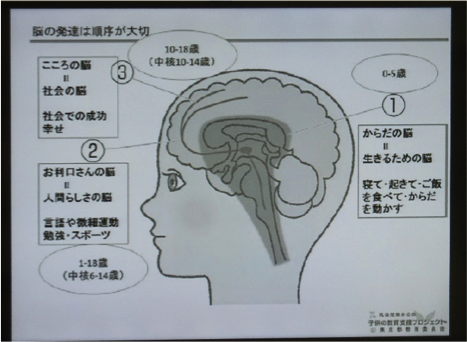 大脳辺縁系等(脳の深部:色の濃い部分)は0～5歳頃までにしっかり育つところ
