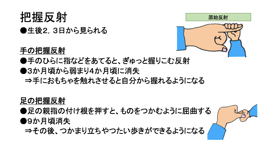 講義で使用された資料　把握反射について