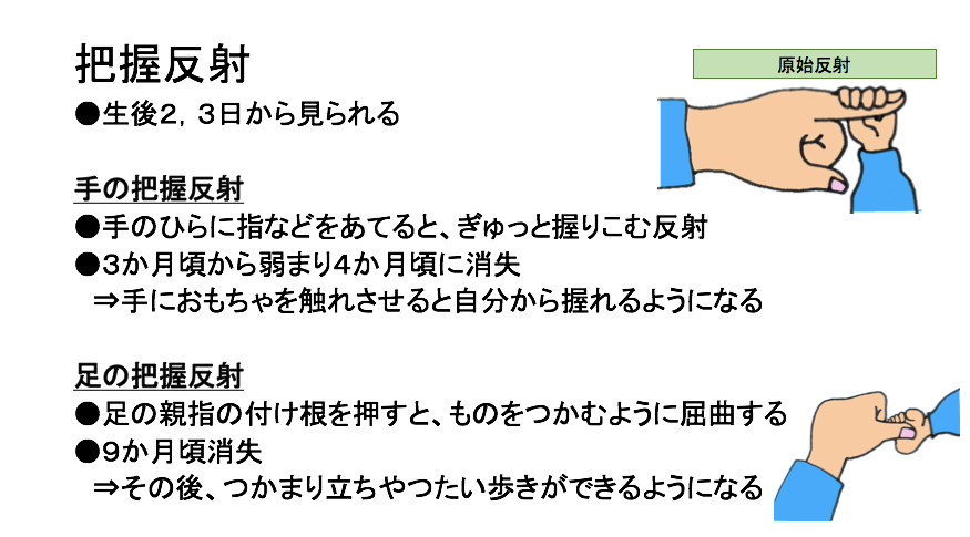 反射 と は 原始 赤ちゃんの原始反射とは？いつまで続いて、どんな種類があるの？｜Milly ミリー