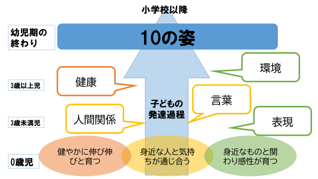 ＜発達プロジェクトが作成した資料の一部（実際にはパワーポイントのスライドで222枚ありました）＞