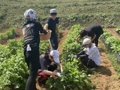 耕作放棄地の活用！！:「お試し農園」への参加（3）