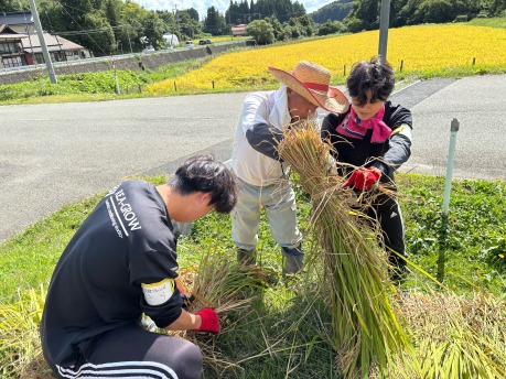 耕作放棄地活用フィールドワーク（岩手県奥州市北股地区、稲刈り・精米編）